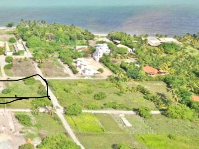 #AFMI001 - Terreno para Venda em Porto de Pedras - AL - 2