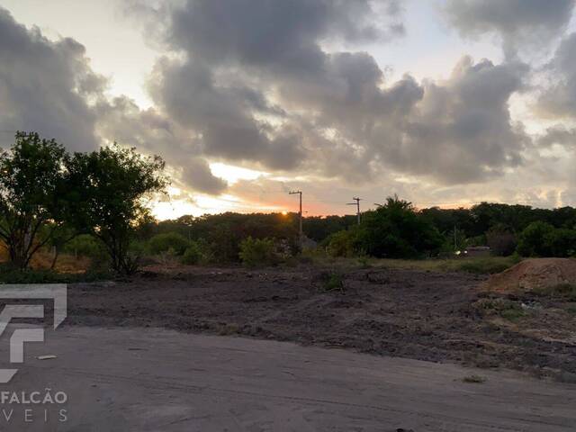 #AFMI001 - Terreno para Venda em Porto de Pedras - AL - 3