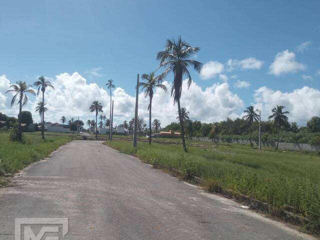 #MFJ001 - Lote para Venda em Paripueira - AL - 3
