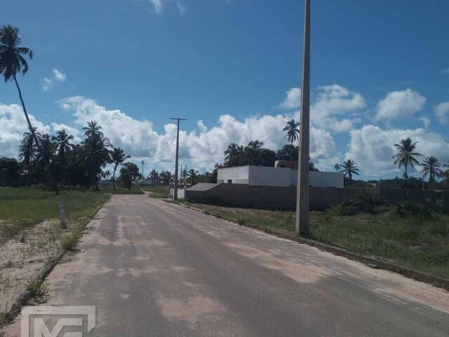 Lote para Venda em Paripueira - 4