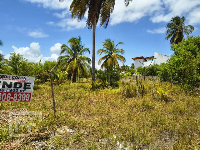 #674 - Área para Venda em São Miguel dos Milagres - AL - 2