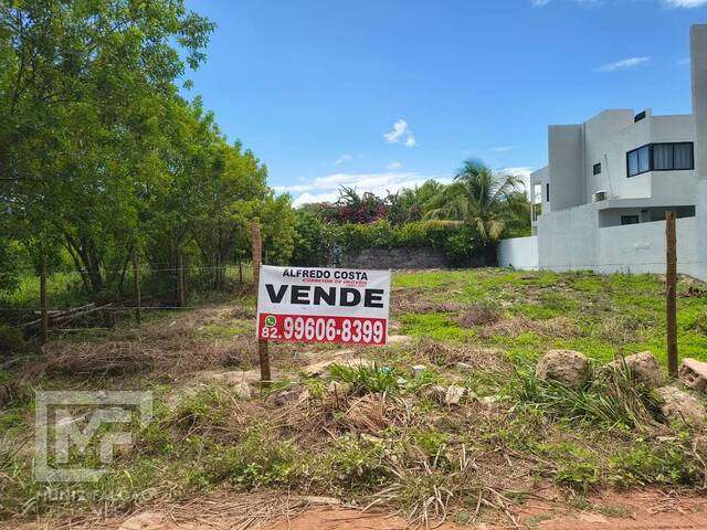 #693 - Área para Venda em Porto de Pedras - AL - 1