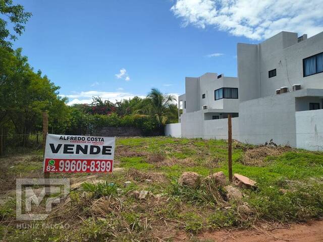 #693 - Área para Venda em Porto de Pedras - AL - 3