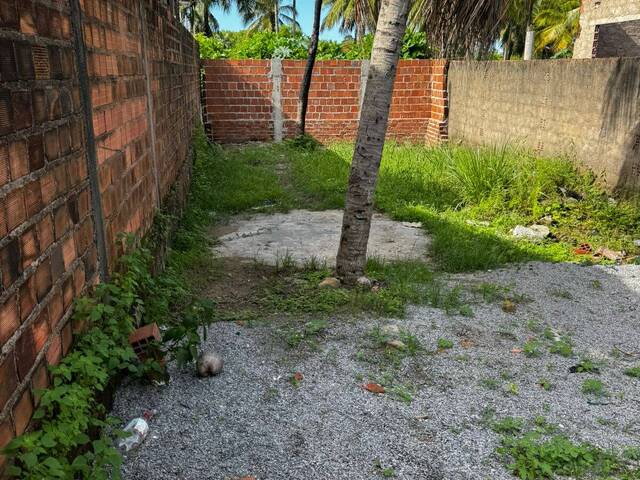 #707 - Área para Venda em São Miguel dos Milagres - AL - 3